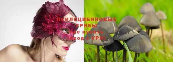 mix Белокуриха